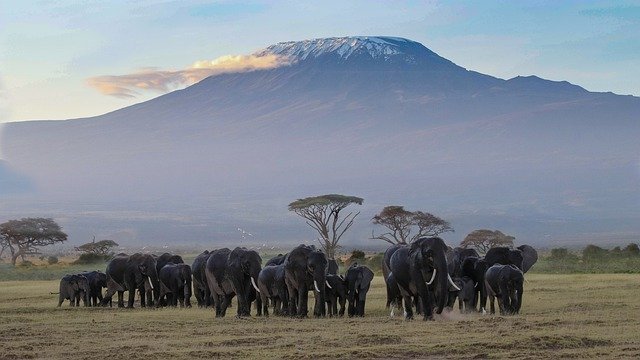 The Ultimate Kenya and Tanzania Itinerary: Exploring the Best of East Africa"